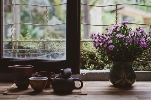 Butterfly Pea Flower Tea Benefits