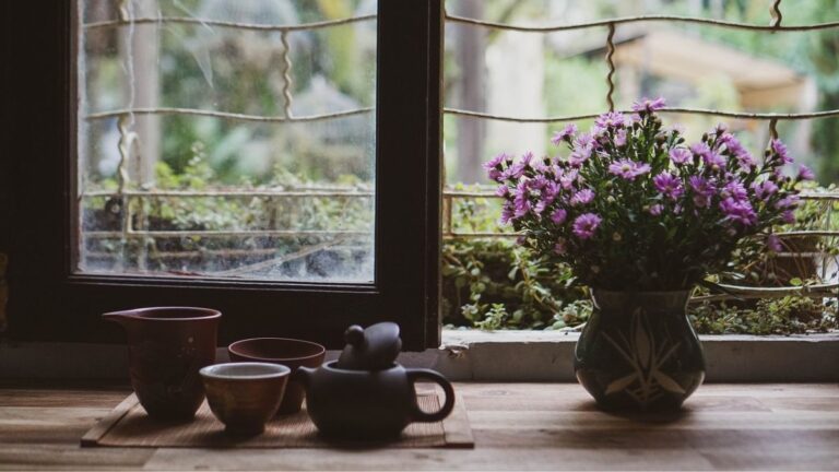 Butterfly Pea Flower Tea Benefits