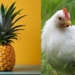 can chickens eat pineapple